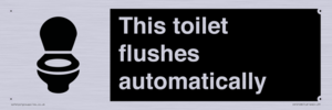 This toilet flushes automatically